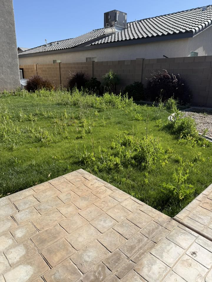 Prime Cuts Lawn & Yard Care Facebook ad