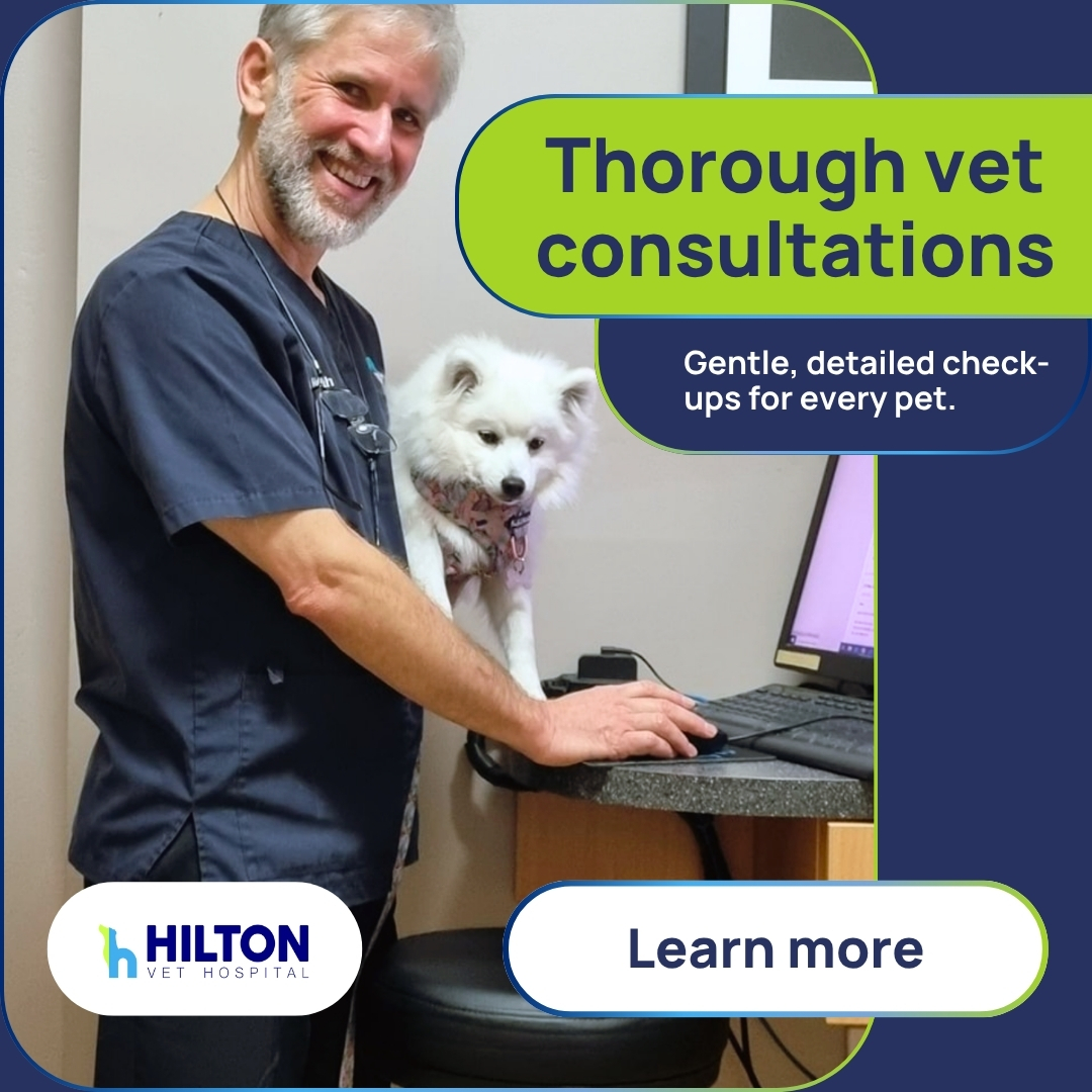 Hilton Vet Hospital Facebook ad: We make pet ownership an enjoyable experience!