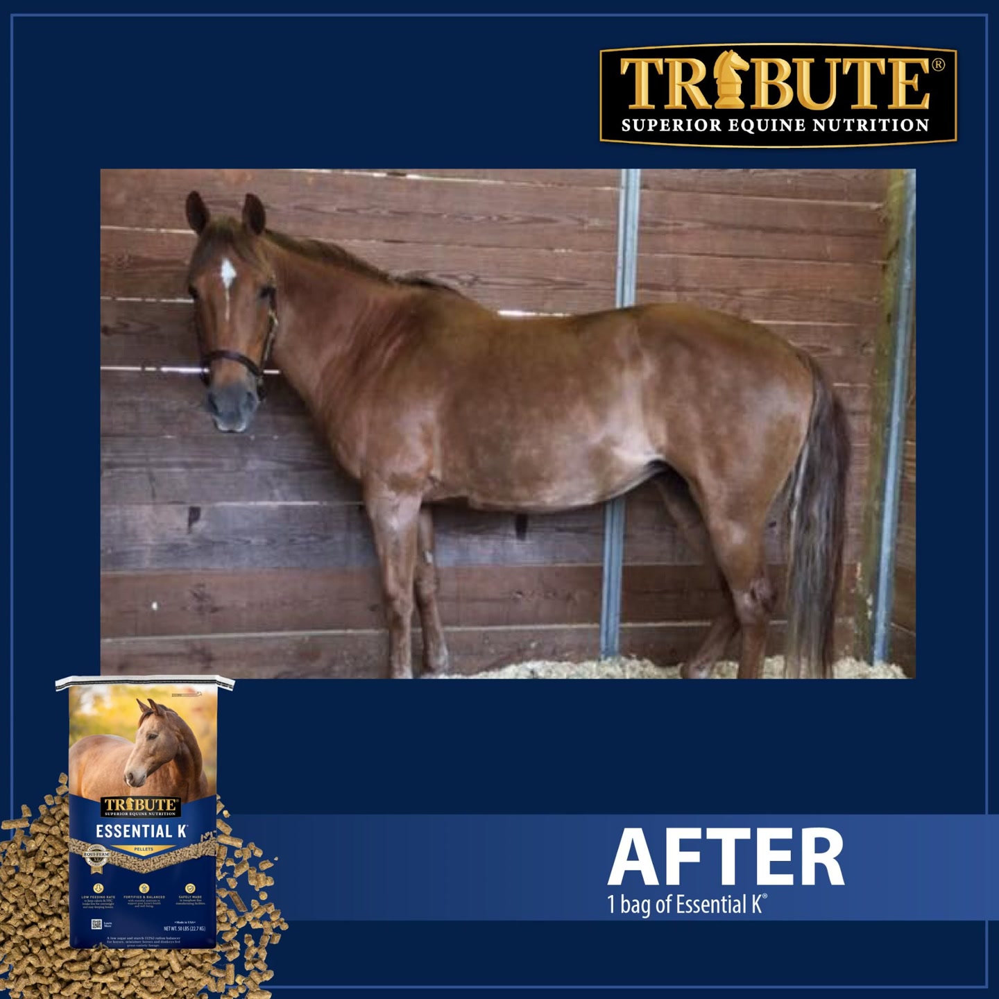 Tribute Equine Nutrition Facebook ad: Essential K