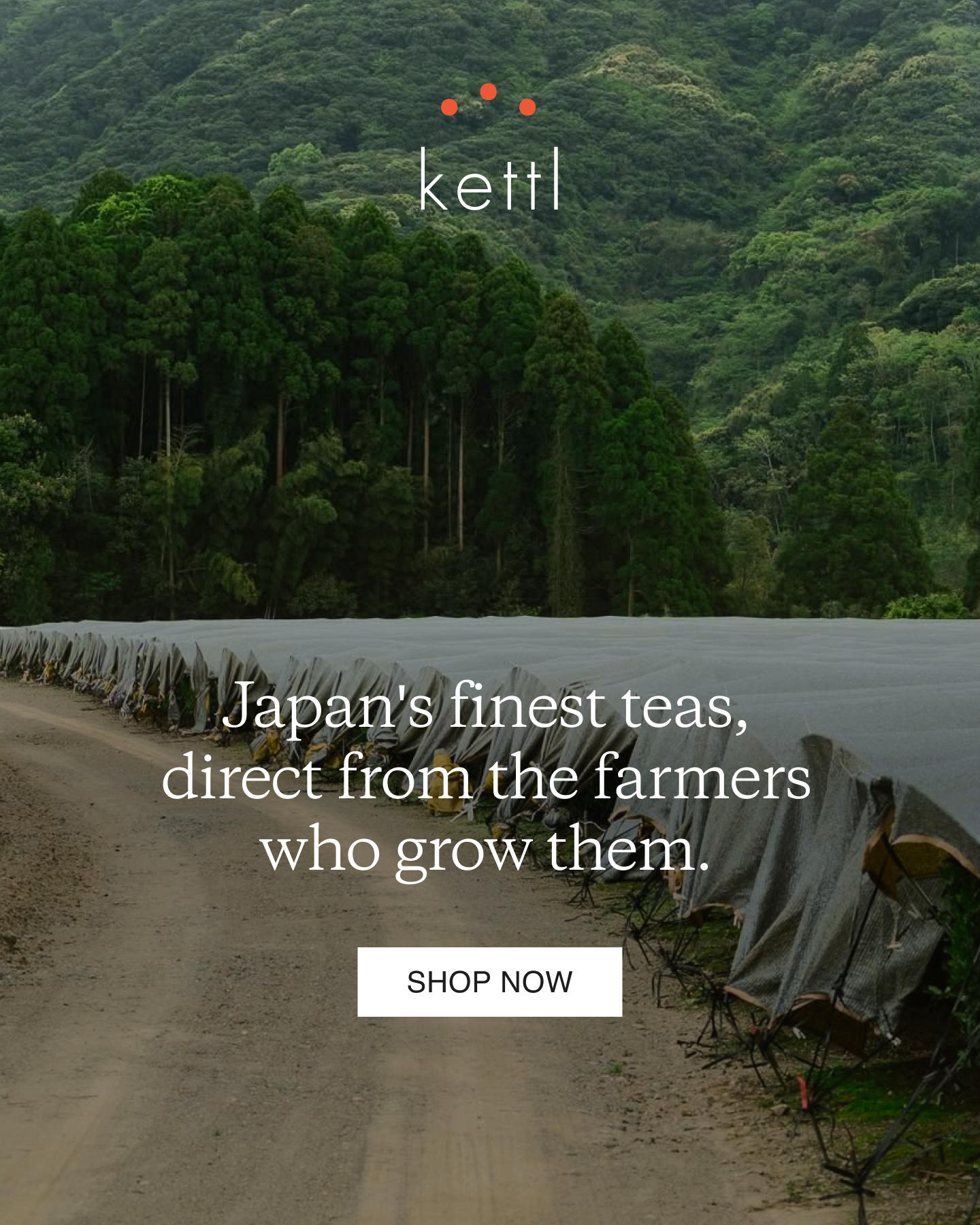 Kettl Facebook ad