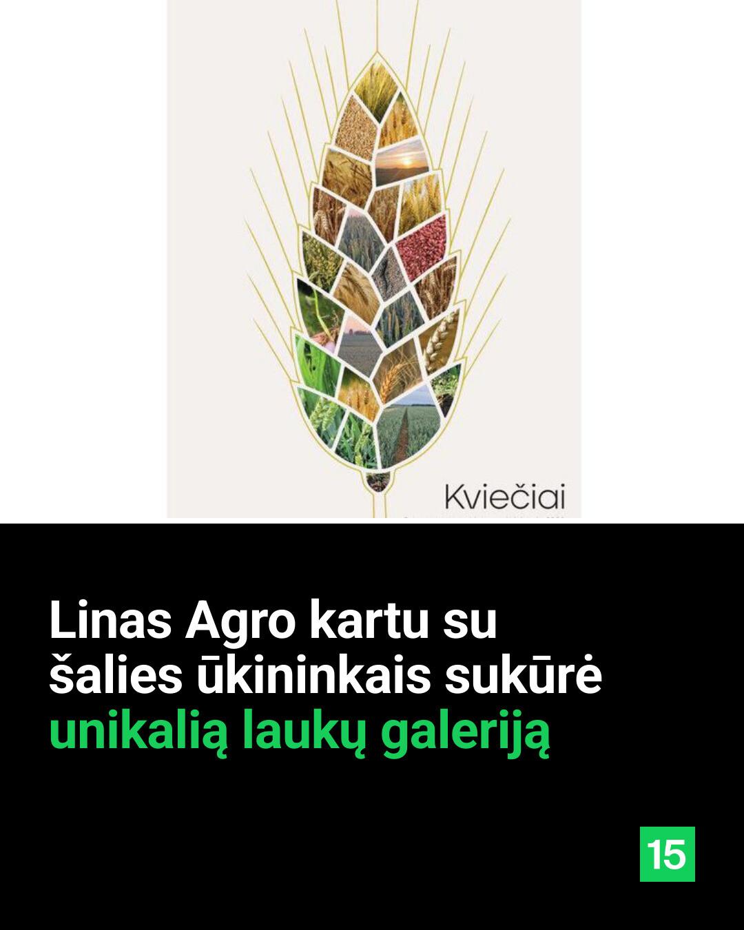 15min Facebook ad