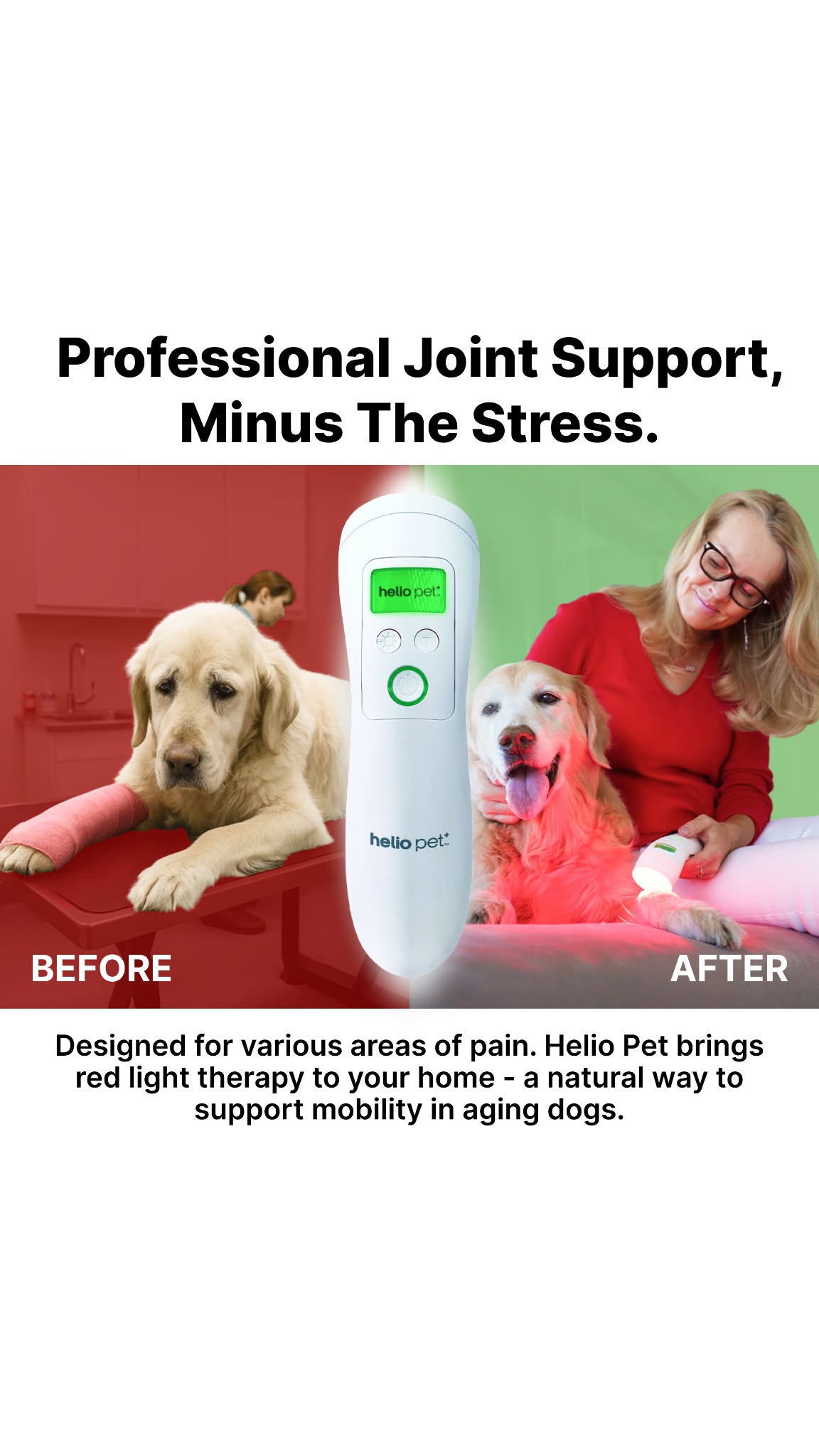 Animal Science Today Facebook ad