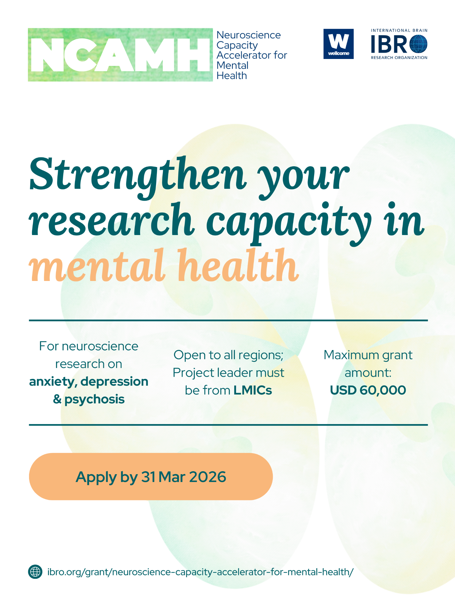 IBRO (International Brain Research Organization) Facebook ad: LMIC-based neuroscientists: Apply to NCAMH!
