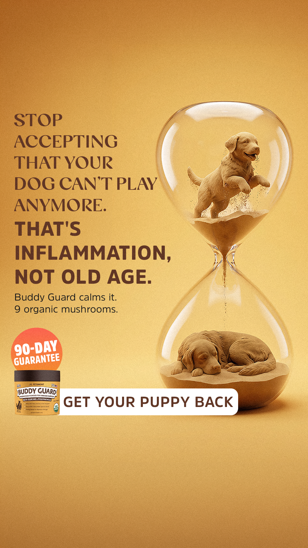 Well Pup Life Facebook ad