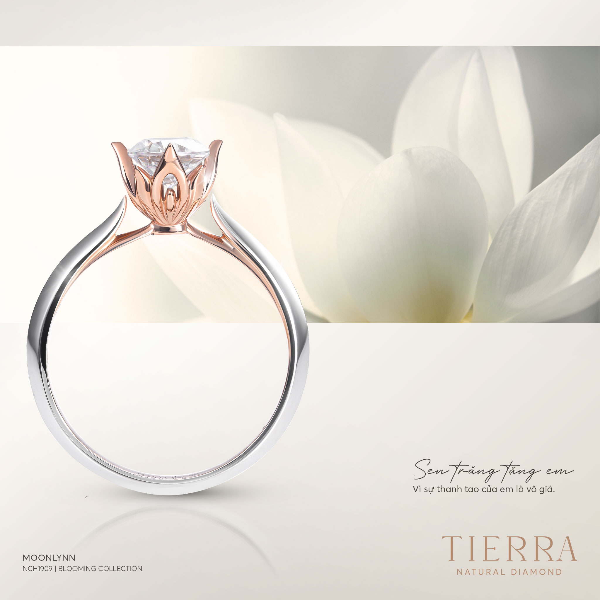 Tierra Diamond Jewelry Facebook ad