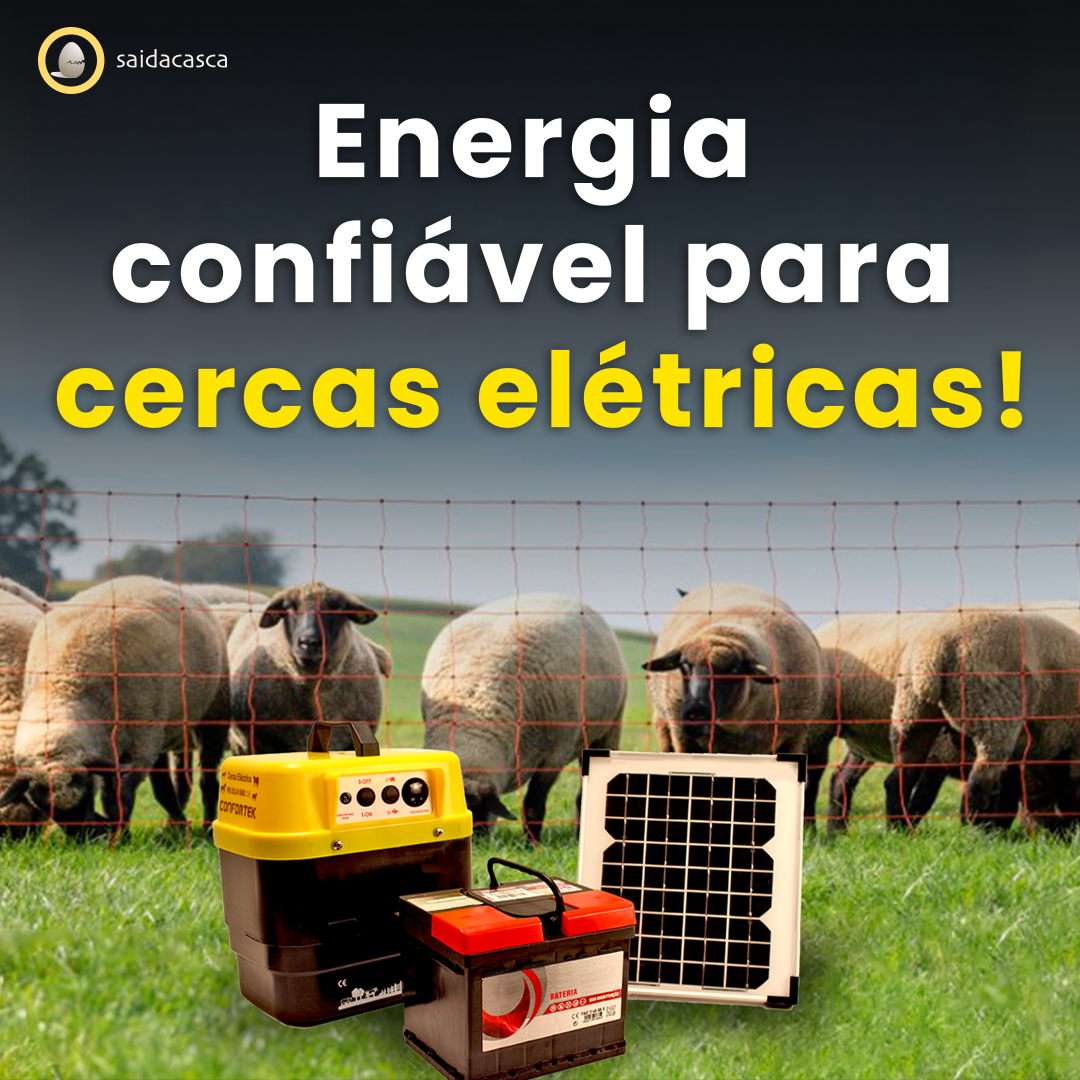 Saidacasca - Artigos para Animais Facebook ad: Proteja a sua quinta com cercas!