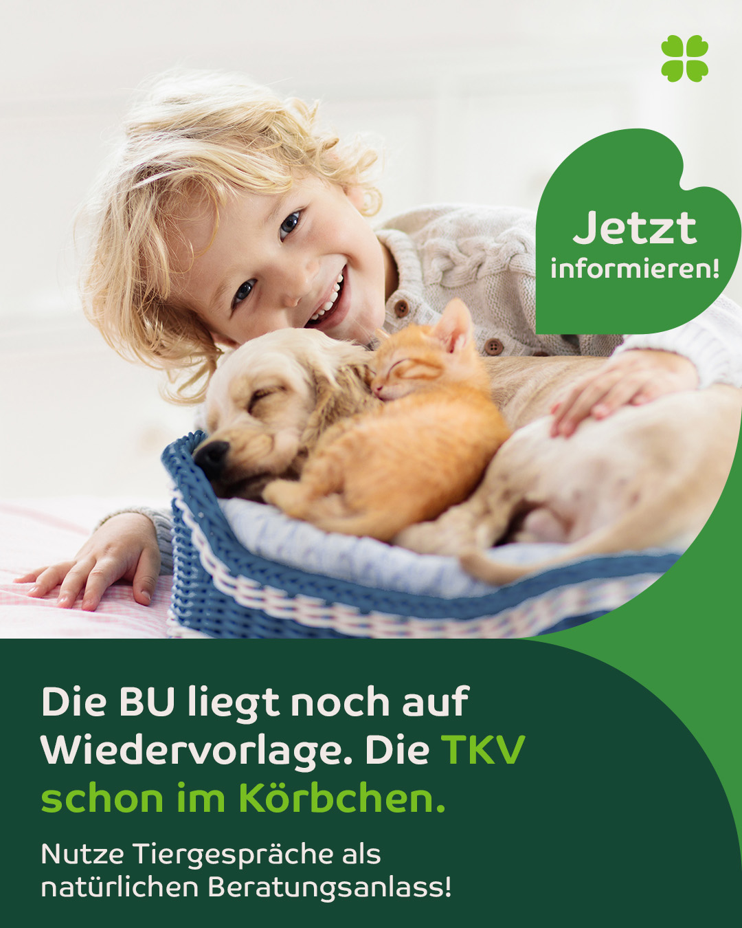 Uelzener Versicherungen für Vertriebspartner Facebook ad: Werde jetzt Vertriebspartner!