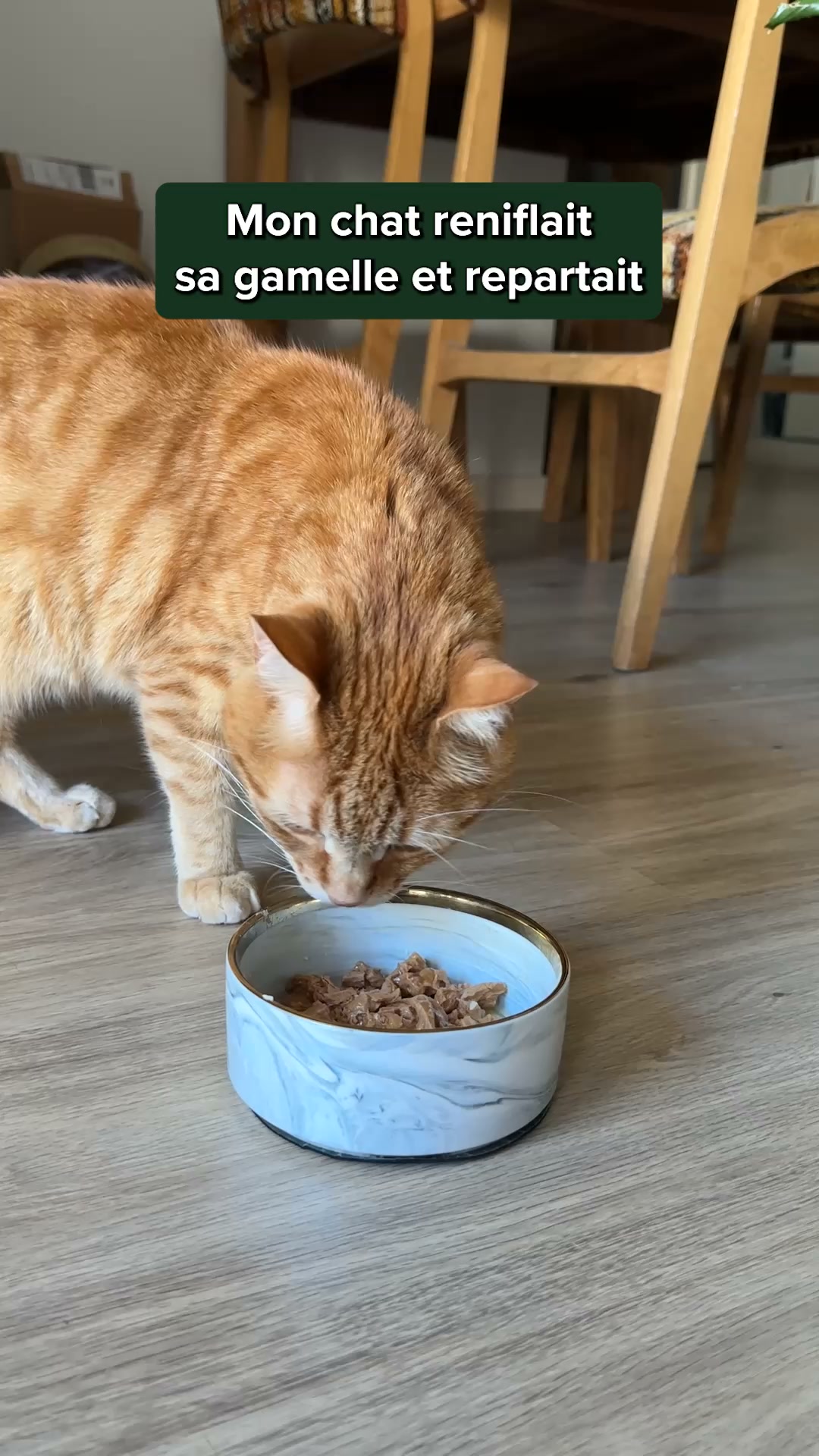Franklin Pet Food Facebook ad: Ils ne laissent pas une miette