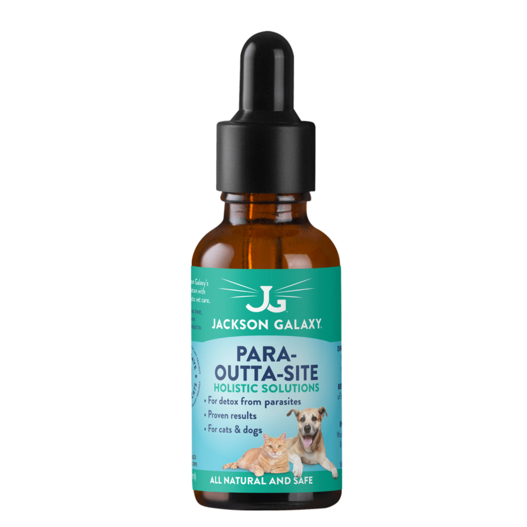 Jackson Galaxy Facebook ad: Discover toys, health essentials & solutions designed with…