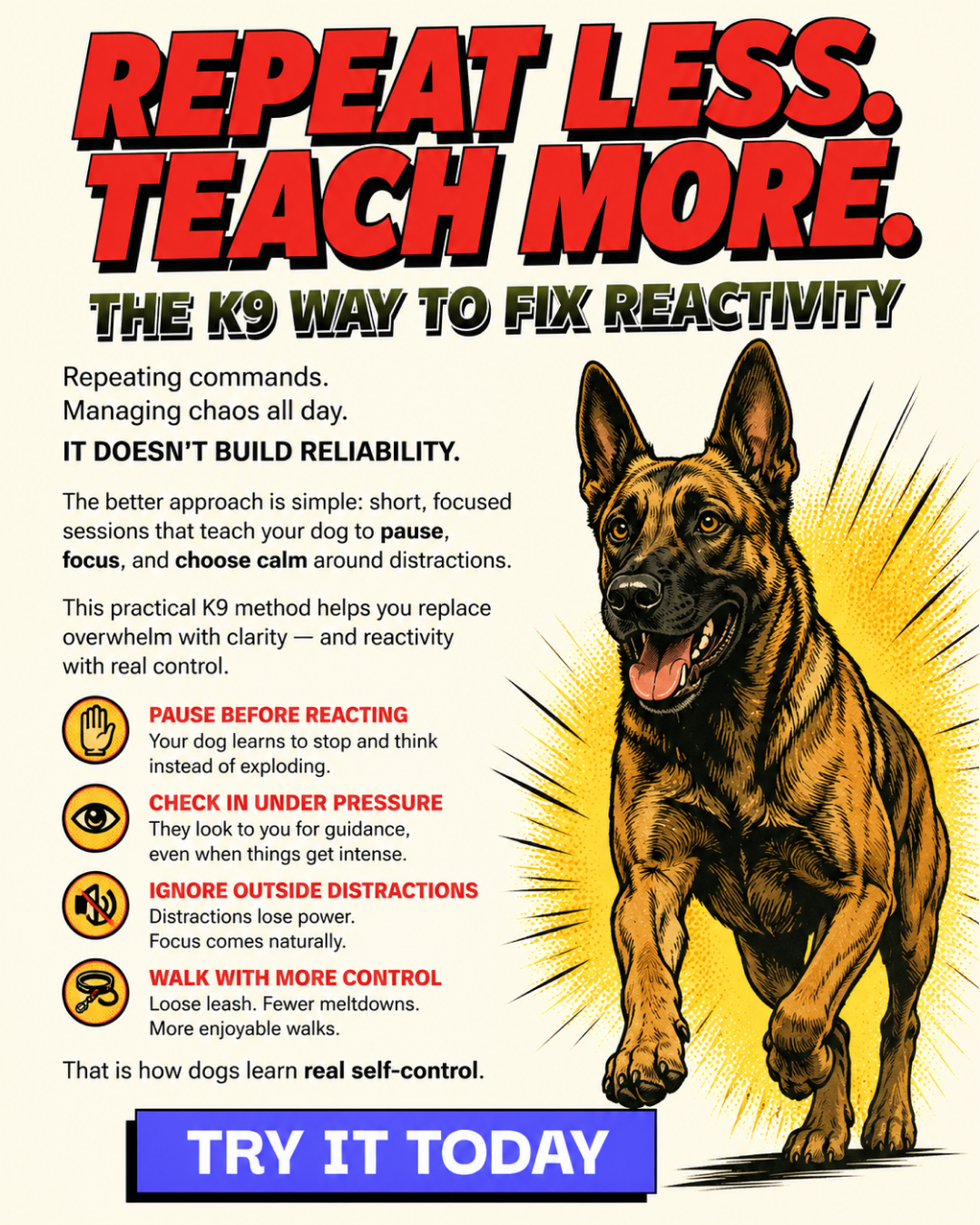 1st Dog Training Club Facebook ad
