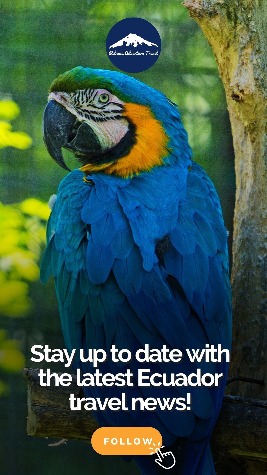 Rebecca Adventure Travel Facebook ad