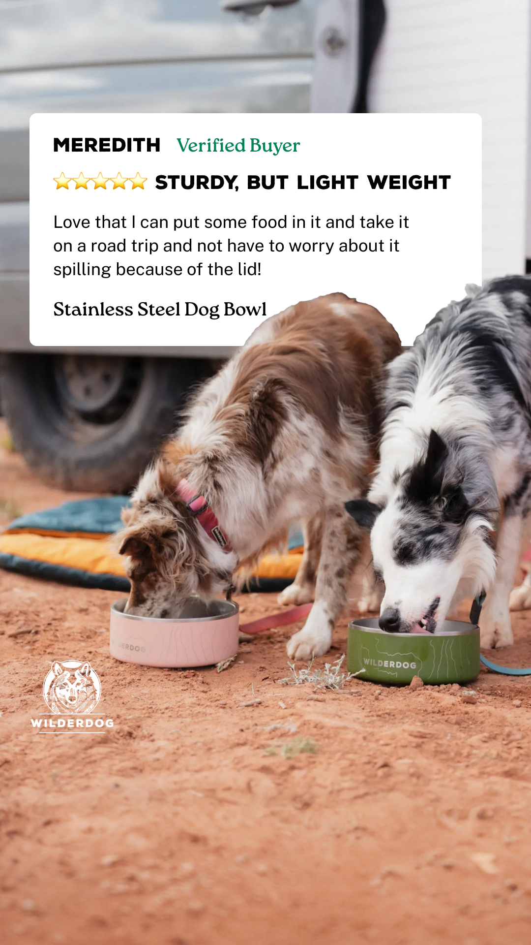 Wilderdog Facebook ad