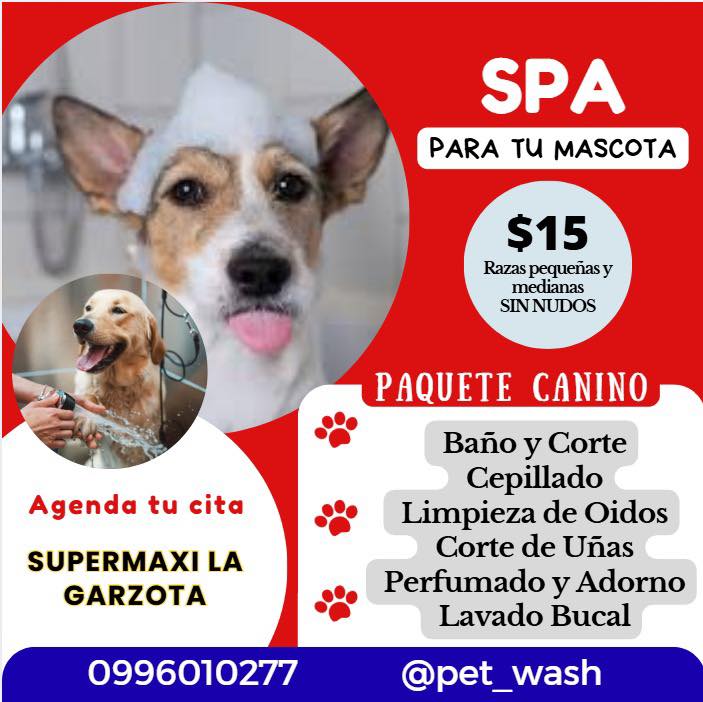 Peluqueria Canina y Veterinaria Pet Wash Facebook ad: Promoción en el Spa de tu mascota, válido…