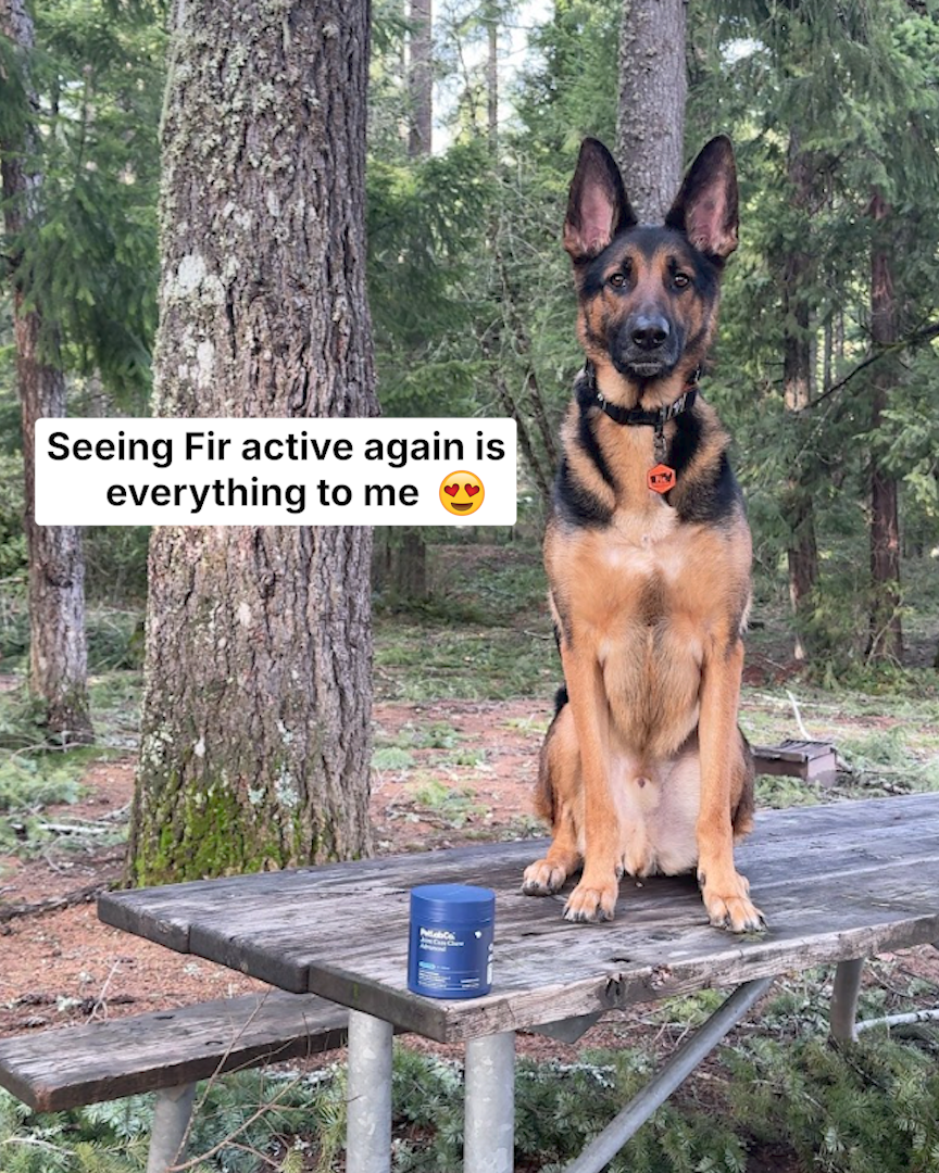 Firadventures Facebook ad