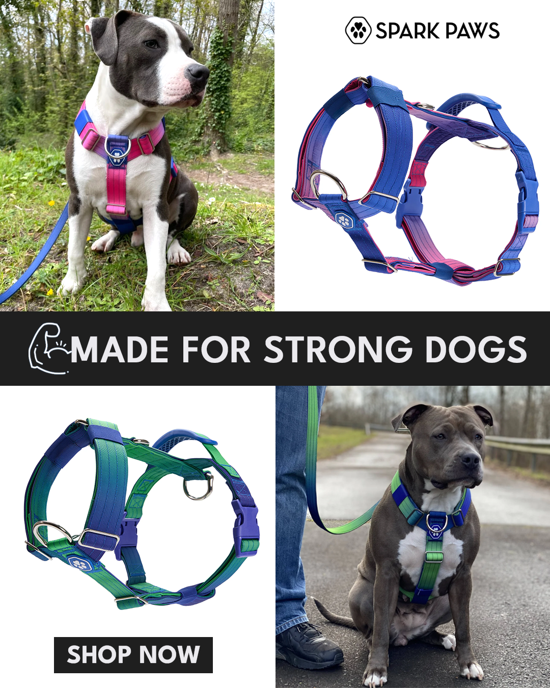 Spark Paws Facebook ad