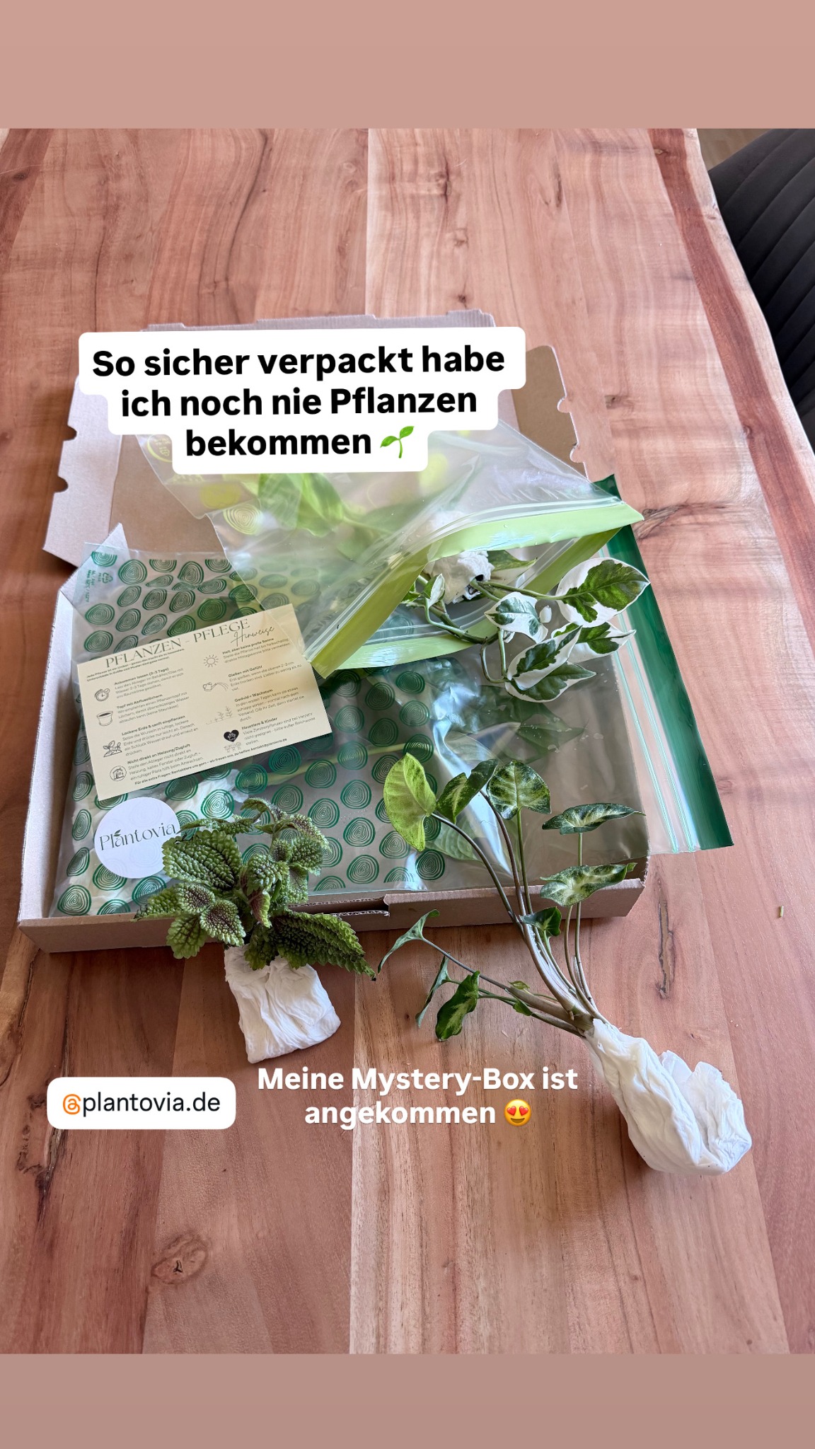 Plantovia.de Facebook ad