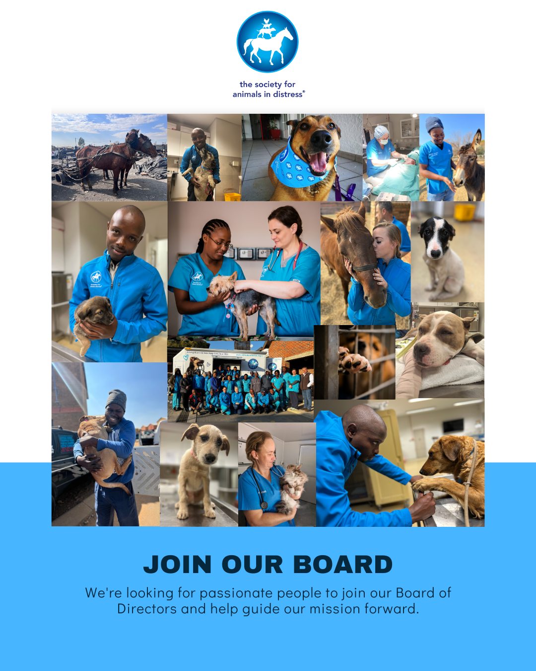 The Society for Animals in Distress Facebook ad: Meet The Team, The Society of Animals in Distress