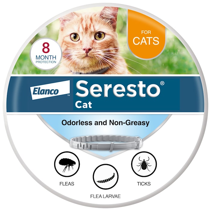Petco Facebook ad
