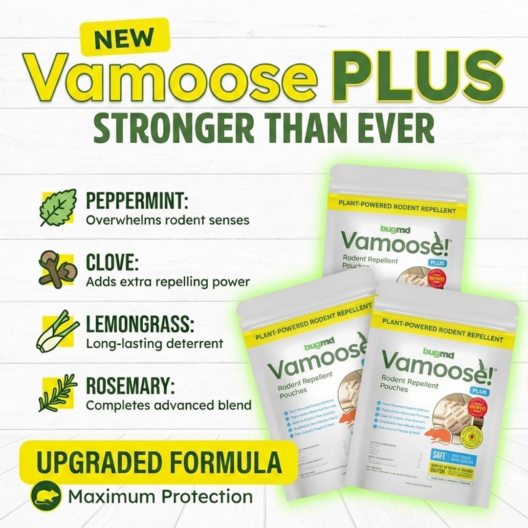 Vamoose Facebook ad