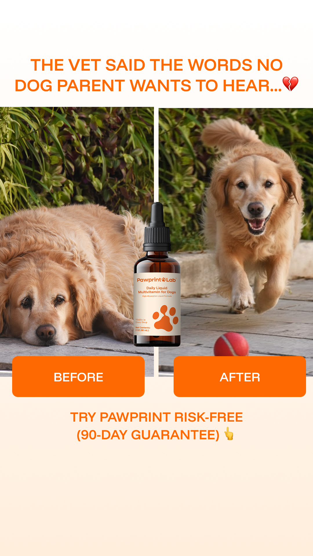 Pawprint Lab Facebook ad from Feb 4, 2026