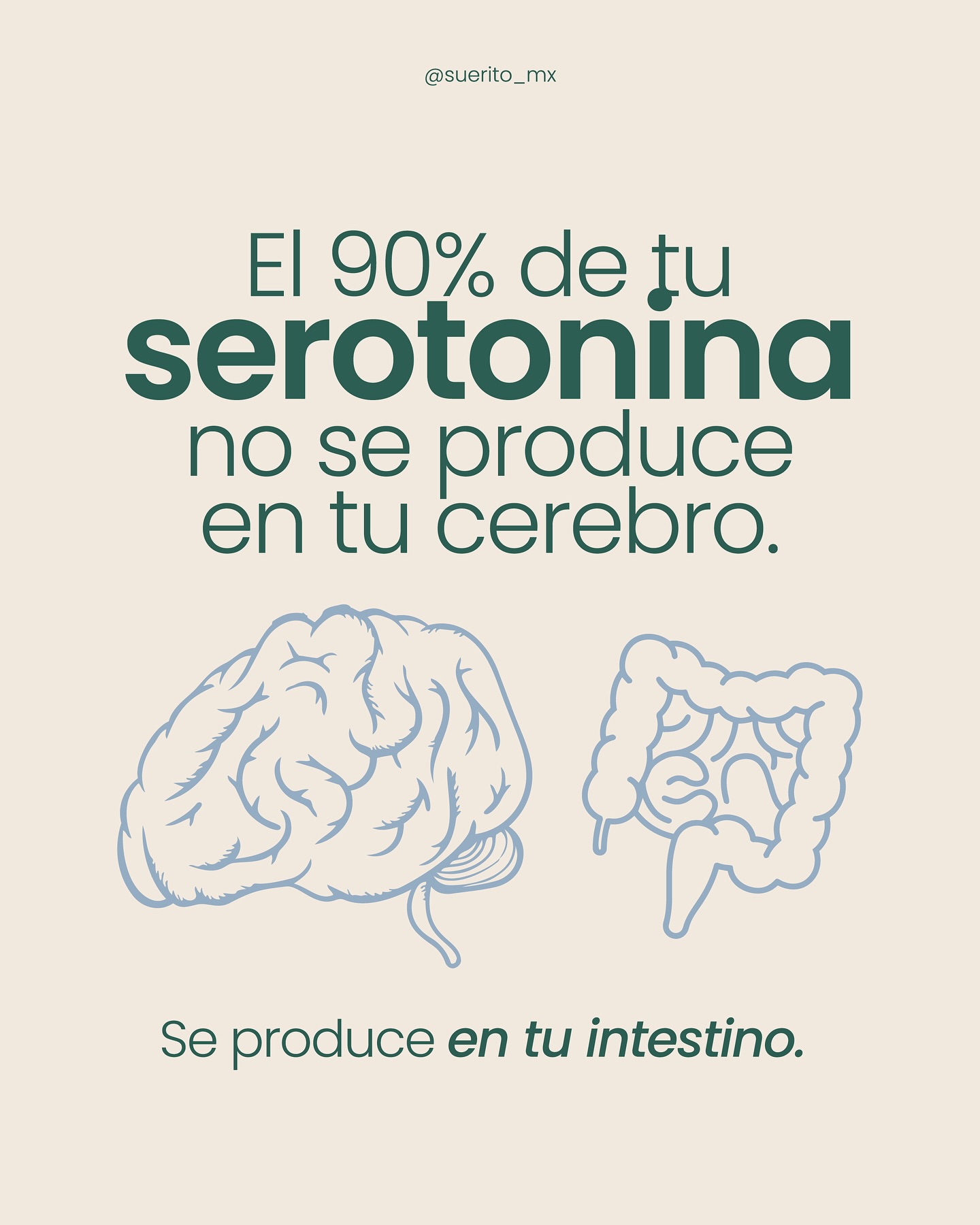 Suerito Facebook ad: Crecimos pensando que la mente y el cuerpo…