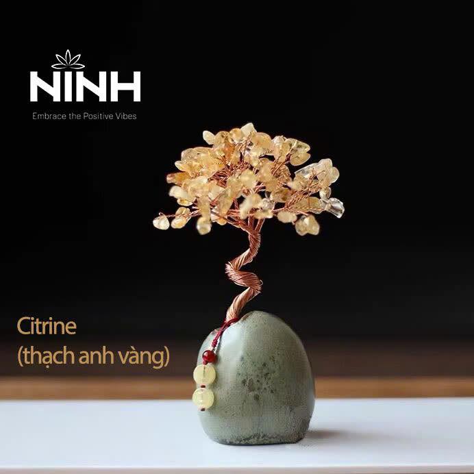 NINH - Tiệm đồ an nhiên Facebook ad: Chậu cây nhỏ - Năng lượng lớn!
