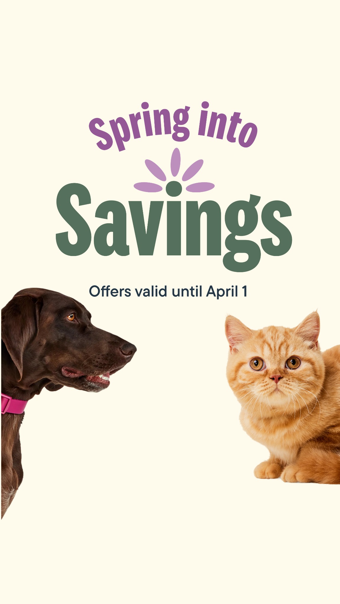Pet Valu Facebook ad