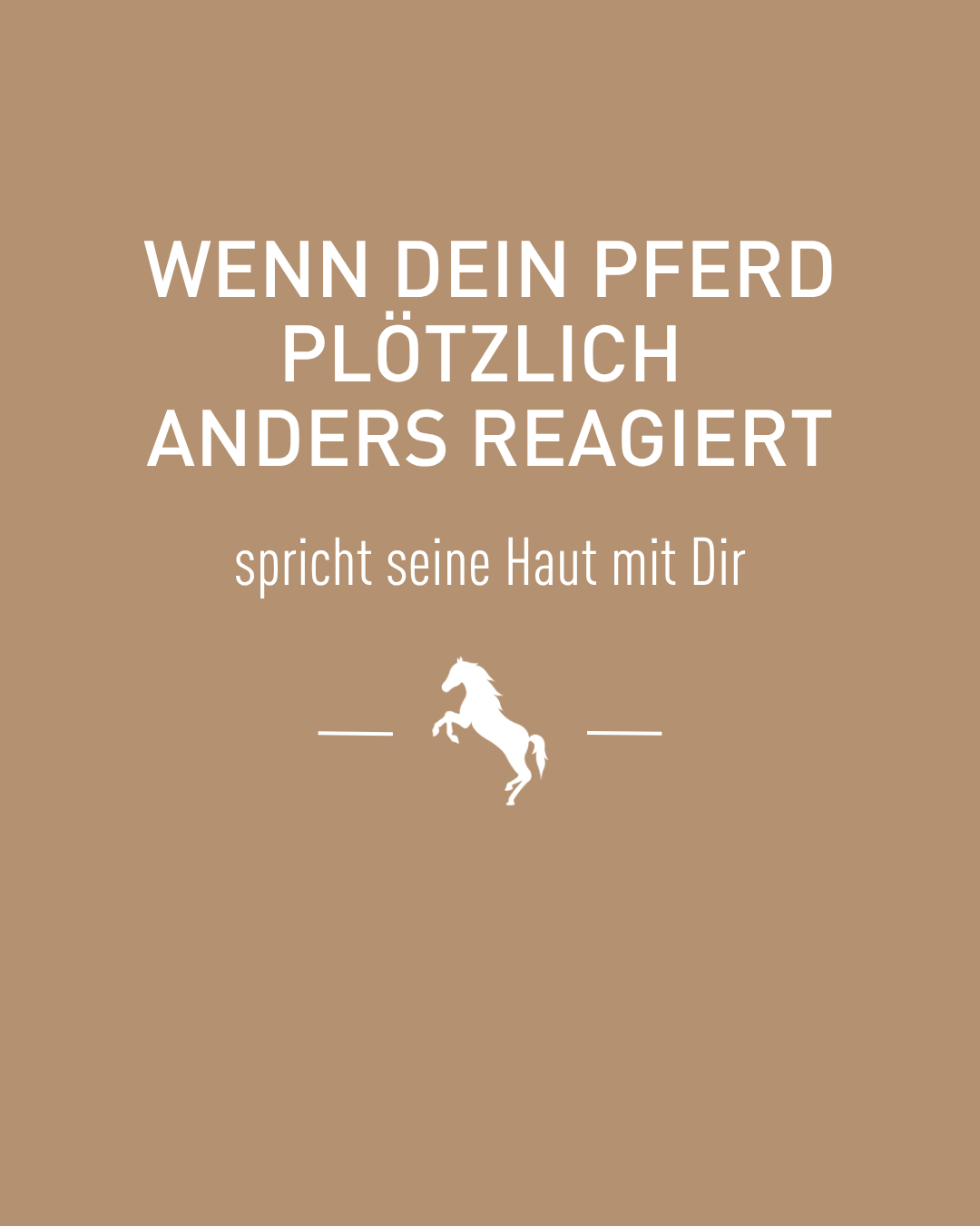 CavaDea-Primavera Facebook ad: Ekzeme beim Pferd, besonders das Sommerekzem, zählen zu…