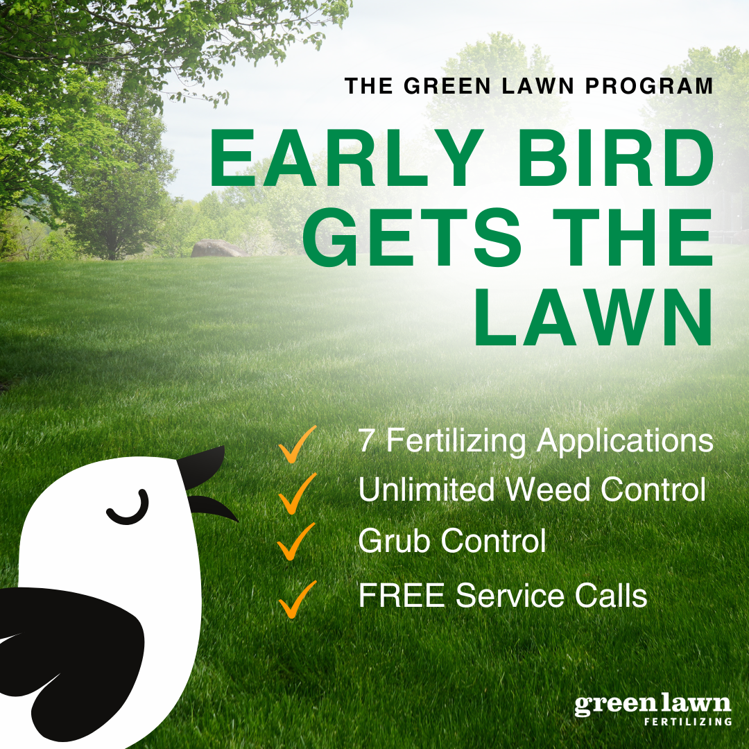 Green Lawn Fertilizing Facebook ad