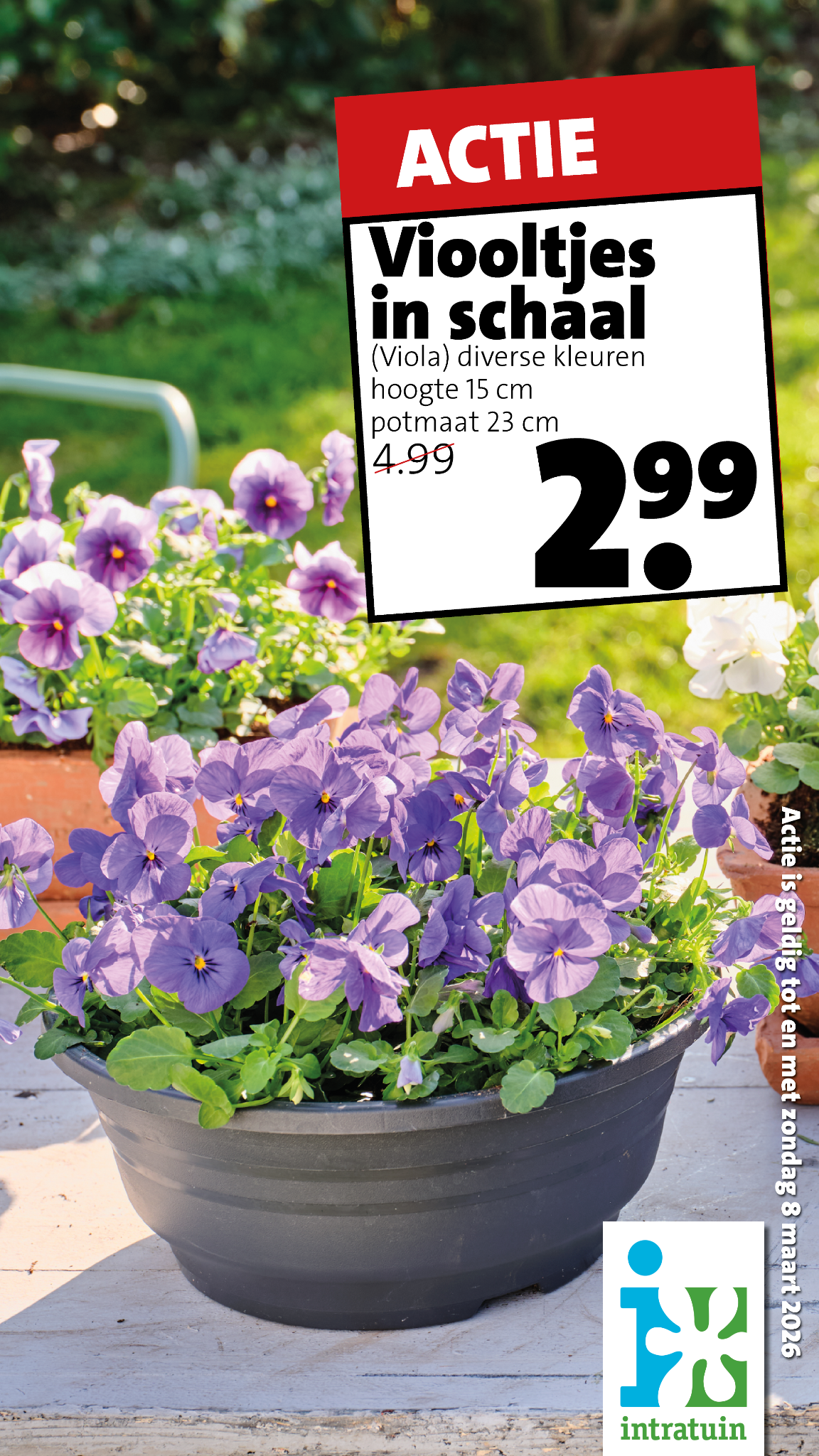 Intratuin Malden Facebook ad from Mar 2, 2026