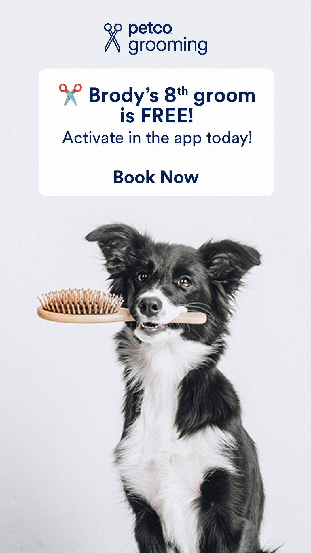 Petco Facebook ad