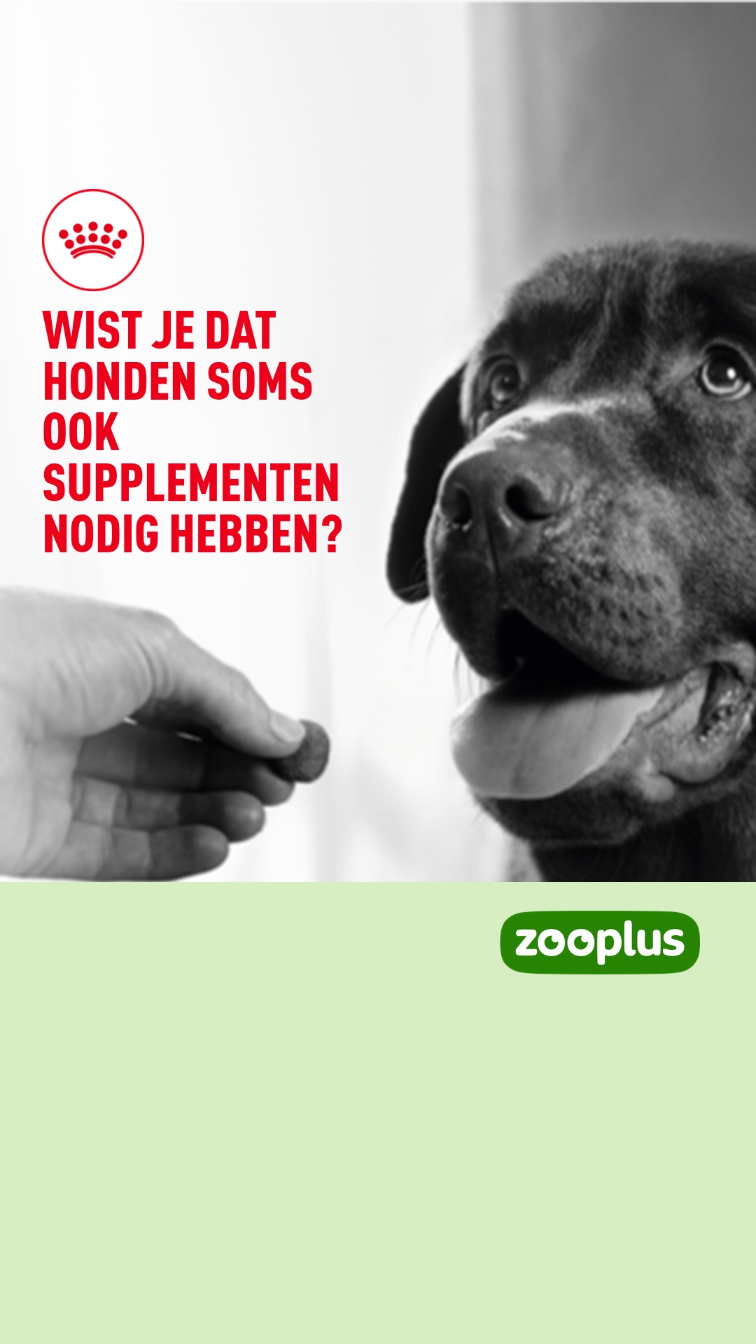 zooplus Facebook ad