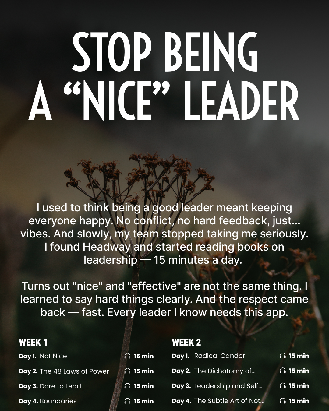 Key Insights From Bestsellers Facebook ad