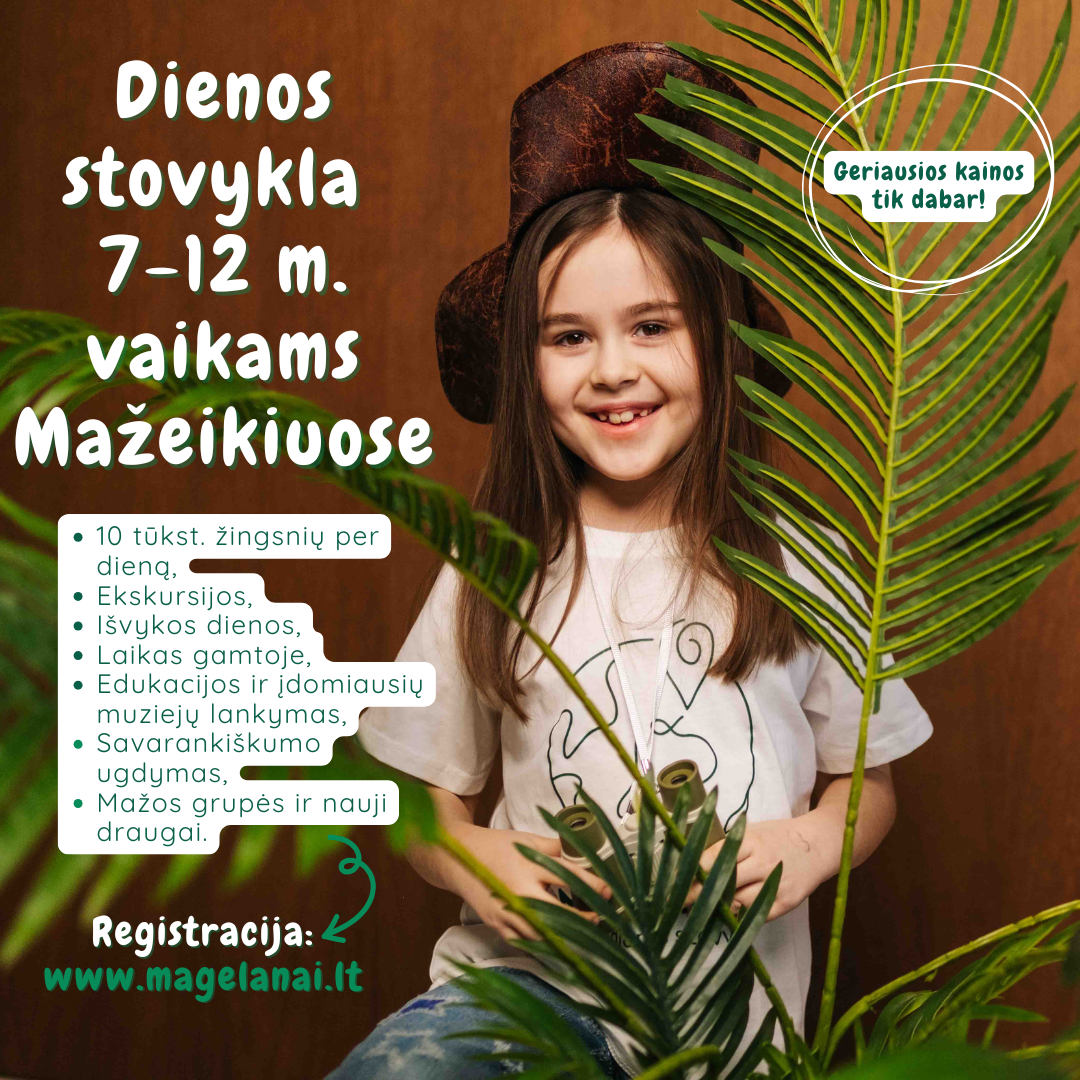 Magelanai - vaikų dienos stovykla Facebook ad
