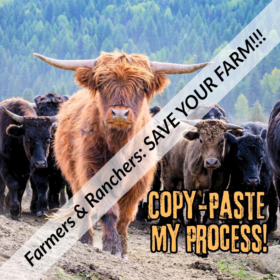 Sell Beef Direct Facebook ad