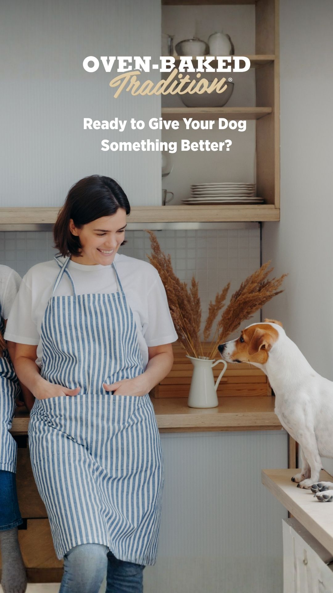 Oven-Baked Tradition Facebook ad from Jun 19, 2026