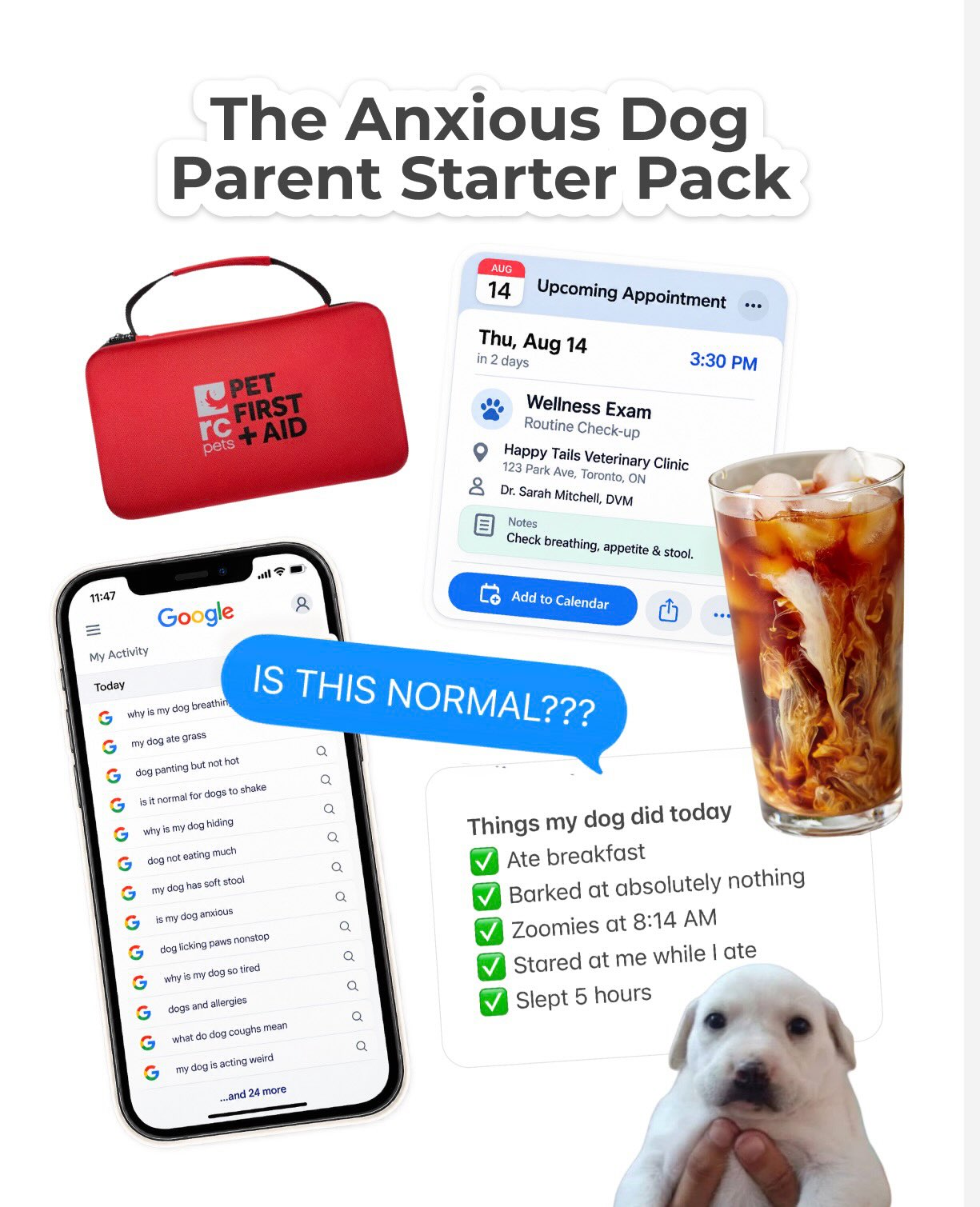 Petcube Facebook ad