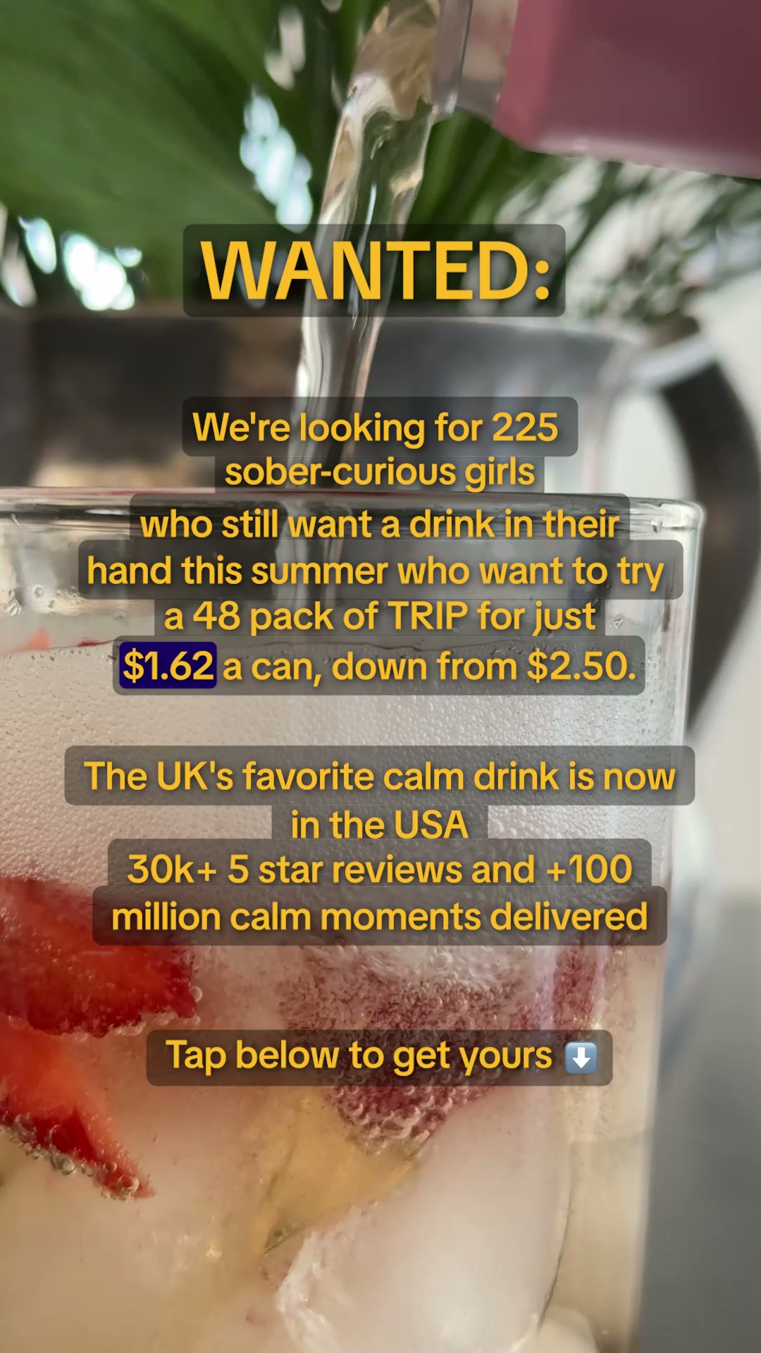 TRIP Facebook ad from Aug 10, 2026