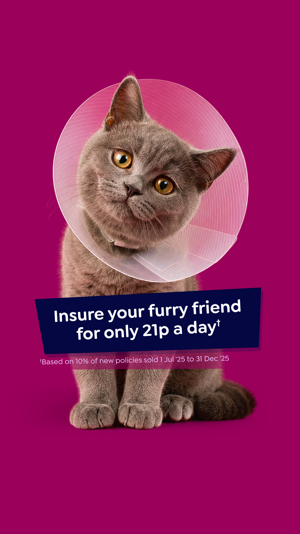 Petgevity UK Facebook ad