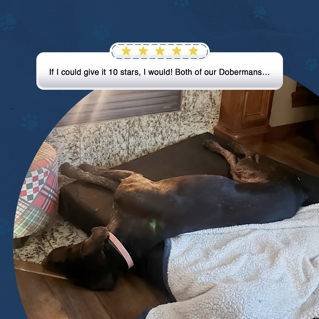 K9 Ballistics Dog Beds Facebook ad
