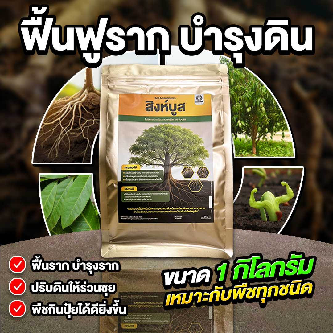 แสนราชสีห์ Facebook ad
