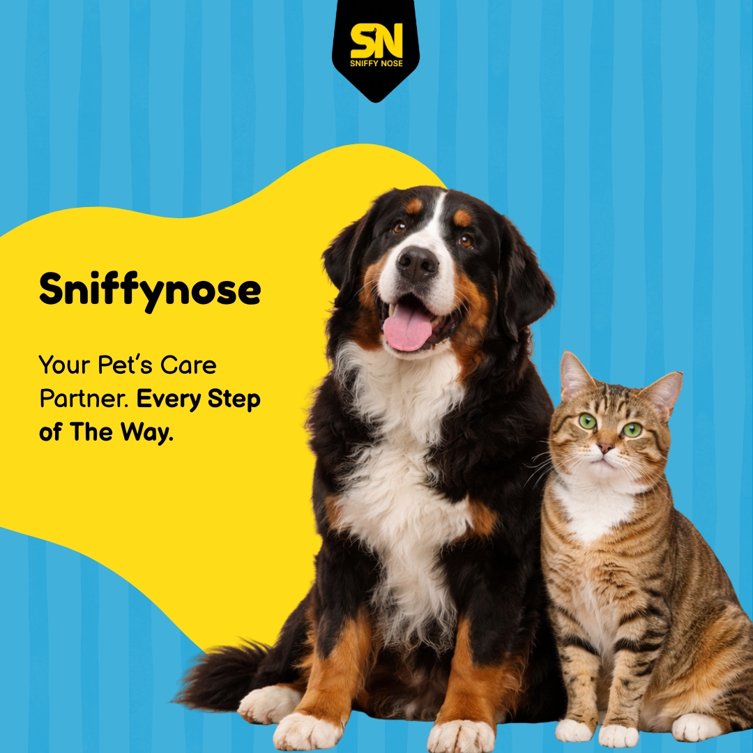 Sniffy Nose Facebook ad