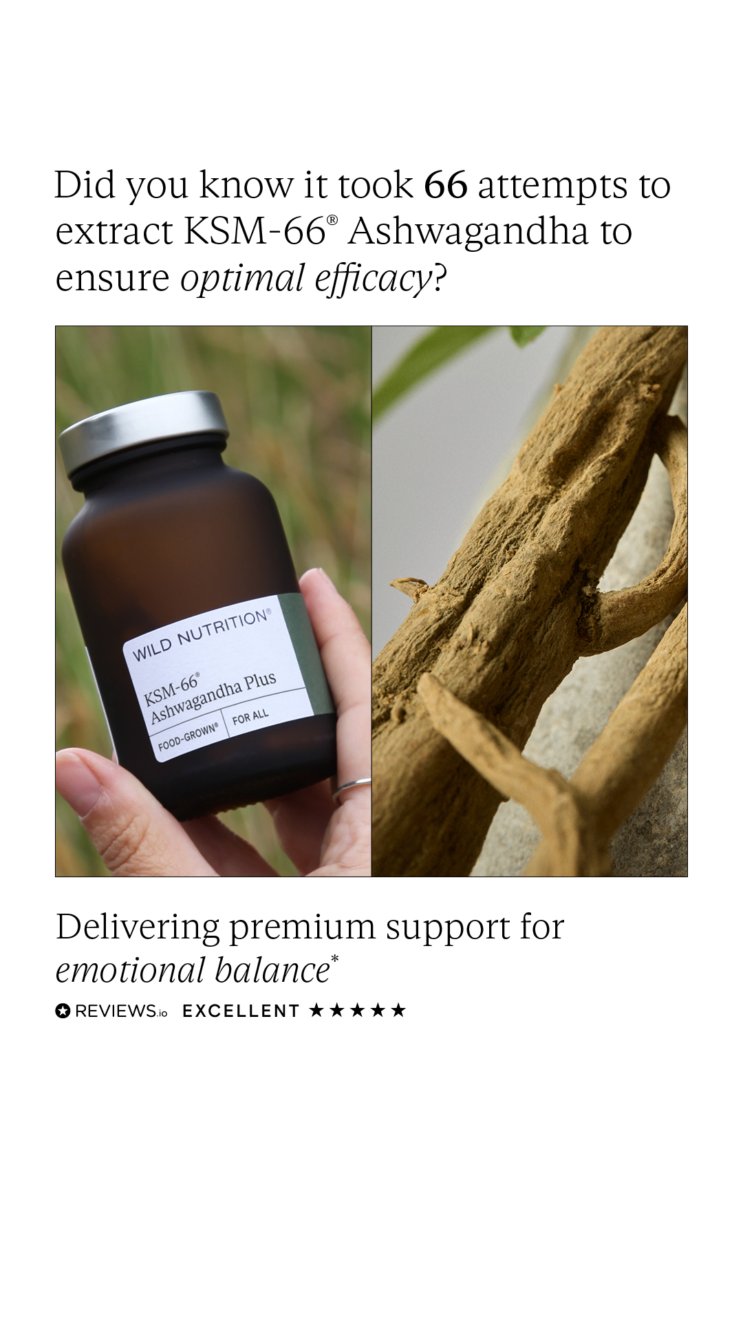 Wild Nutrition Facebook ad