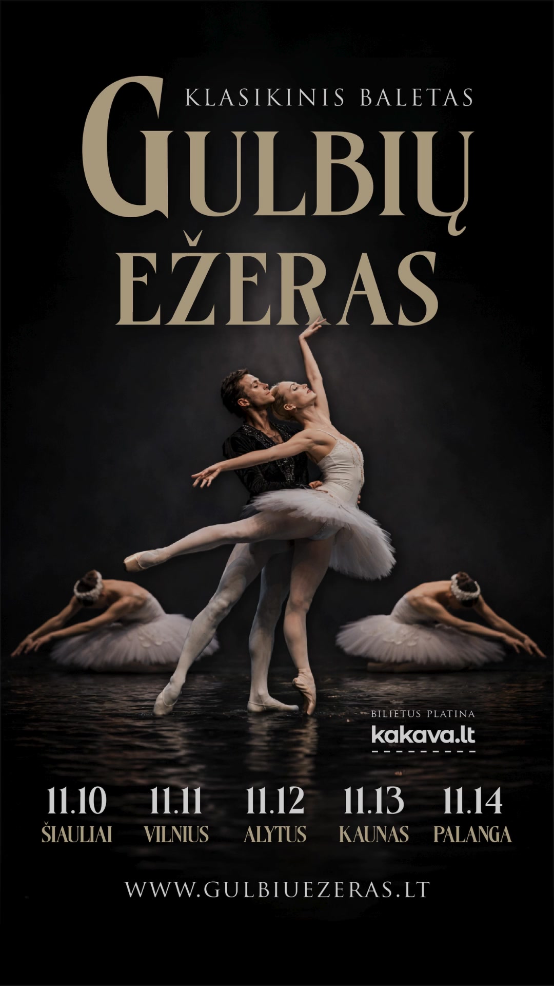 Makroconcert Facebook ad: Klasikinis baletas Gulbių ežeras