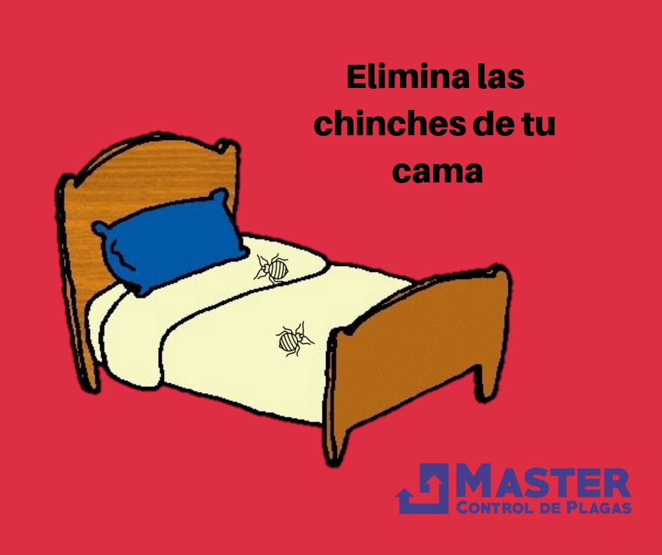 Master Fumigaciones Facebook ad: Protege tu hogar con Master Fumigaciones