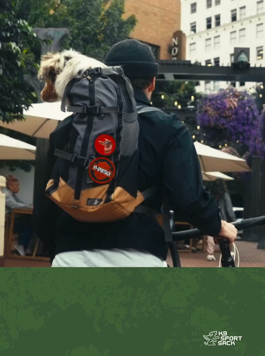 K9 Sport Sack Facebook ad: Don’t Leave Them Home