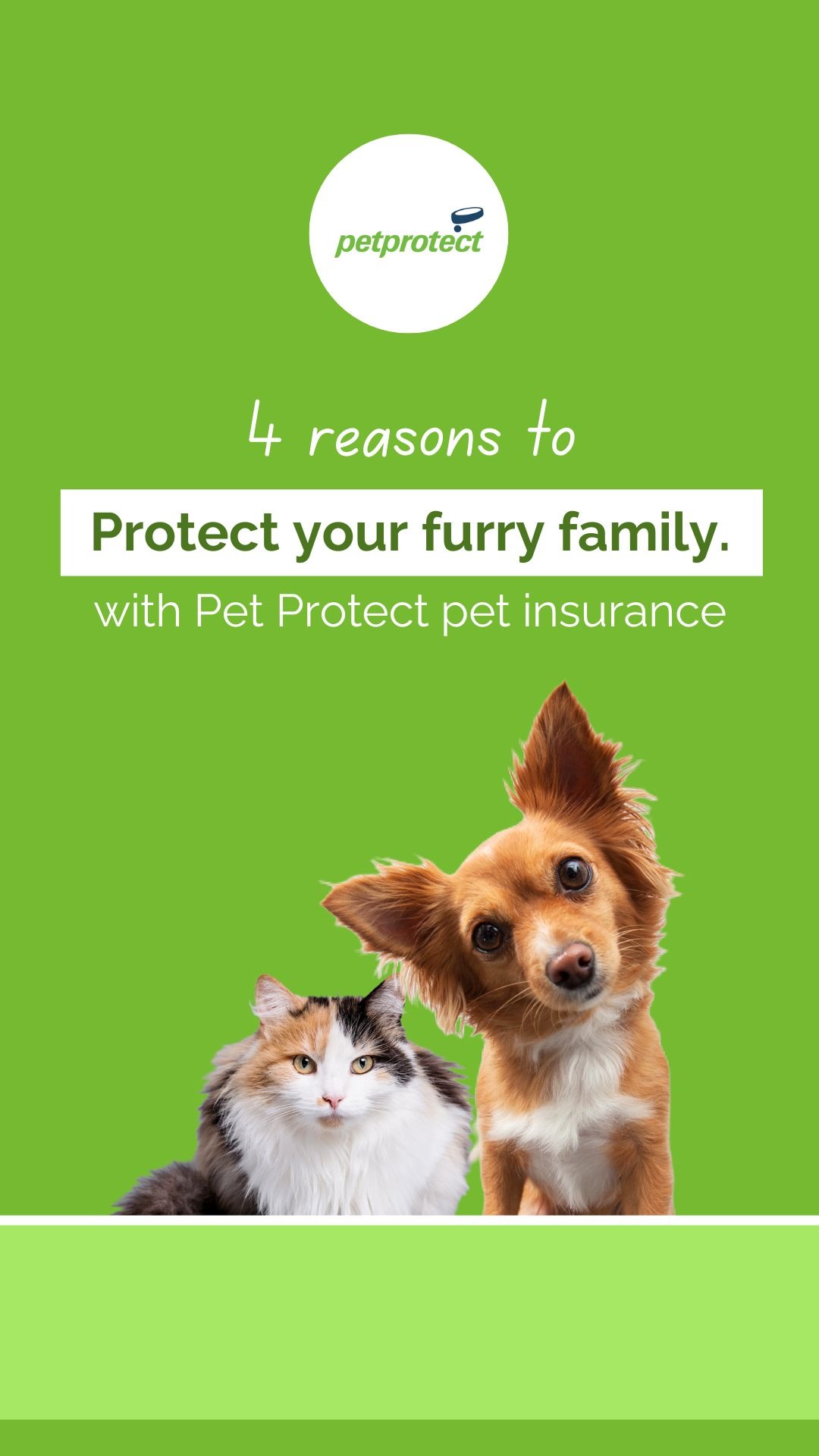 Pet Protect Facebook ad from Jun 4, 2024