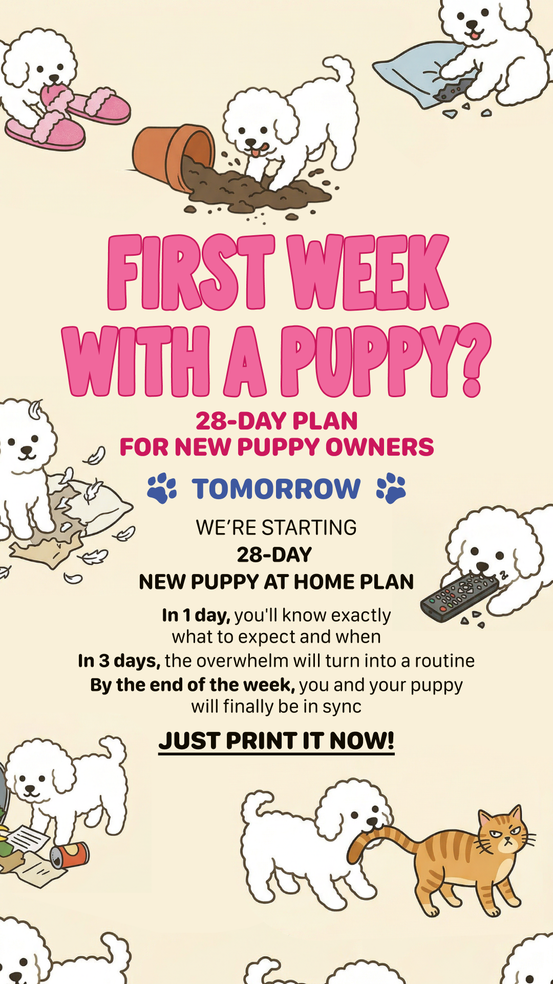 Woofz - Puppy Training Facebook ad