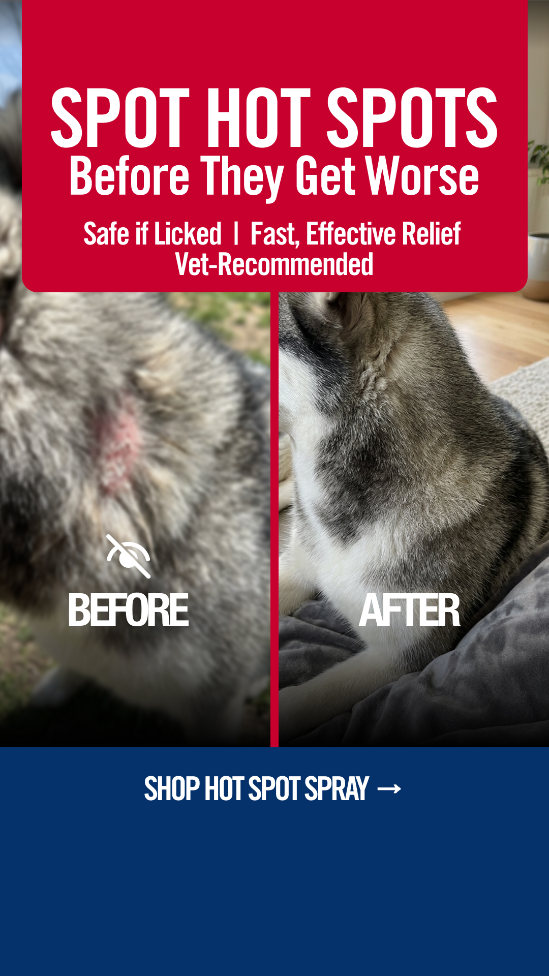 Vetericyn Facebook ad from Aug 17, 2026