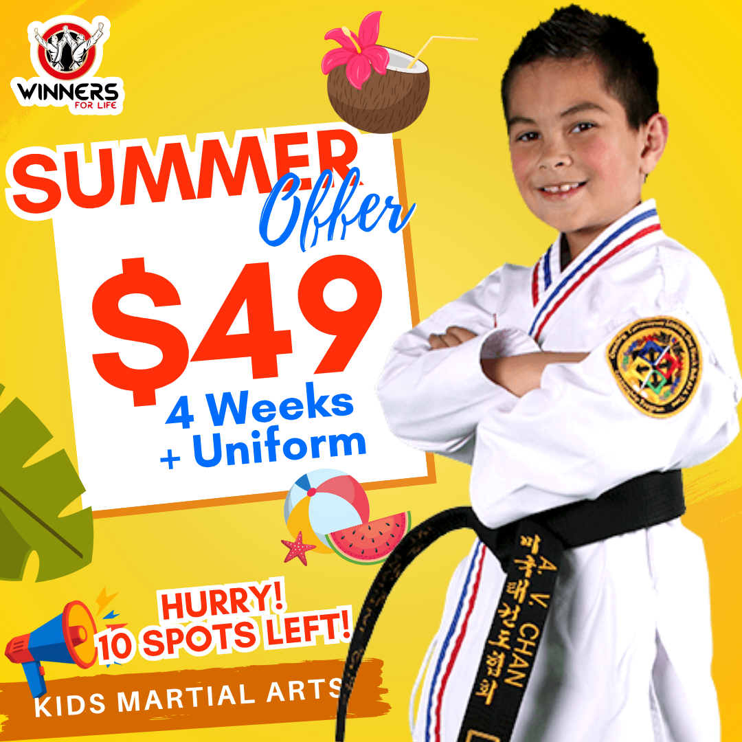 Winners for Life Martial Arts Harrisburg  Facebook ad